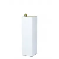 Socle d&rsquo;exposition carton