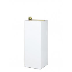 Socle d’exposition carton