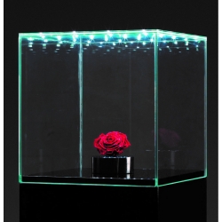 Vitrine en verre LED intégré