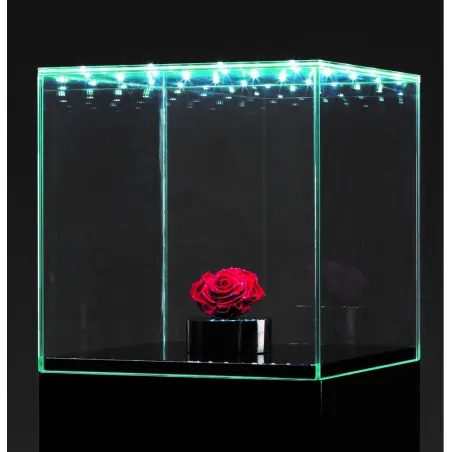 Vitrine en verre LED intégré