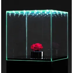 Vitrine en verre LED intégré