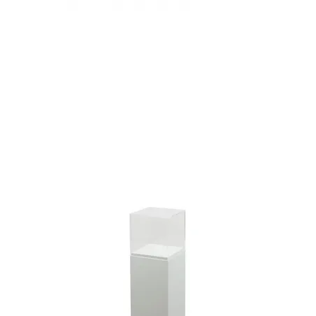 Vitrine cloche plexi