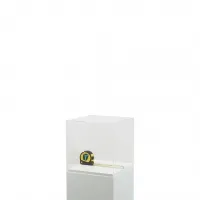 Vitrine cloche plexi