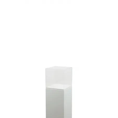 Vitrine cloche plexi