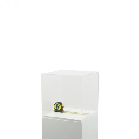Vitrine cloche plexi