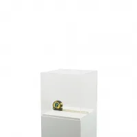 Vitrine cloche plexi