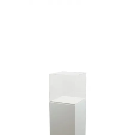 Vitrine cloche plexi