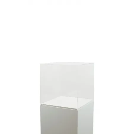 Vitrine cloche plexi