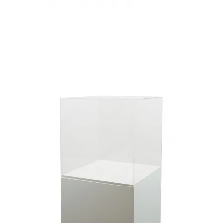 Vitrine cloche plexi