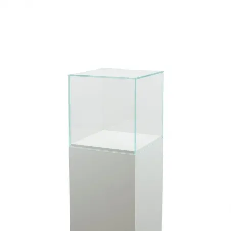 Vitrine cloche en verre
