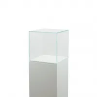 Vitrine cloche en verre