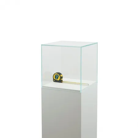 Vitrine cloche en verre
