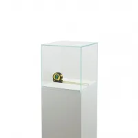 Vitrine cloche en verre