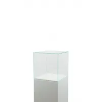 Vitrine Cloche Verre