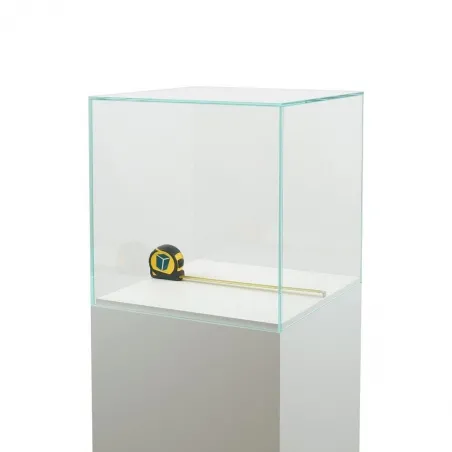 Vitrine cloche en verre