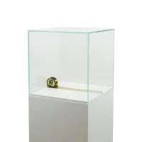 Vitrine cloche en verre