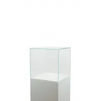 Vitrine cloche en verre