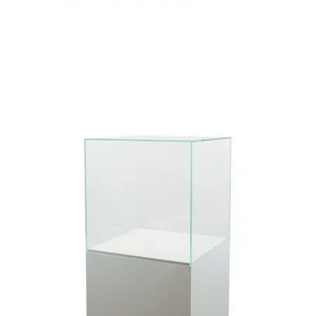 Vitrine Cloche Verre