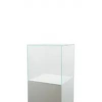 Vitrine Cloche Verre