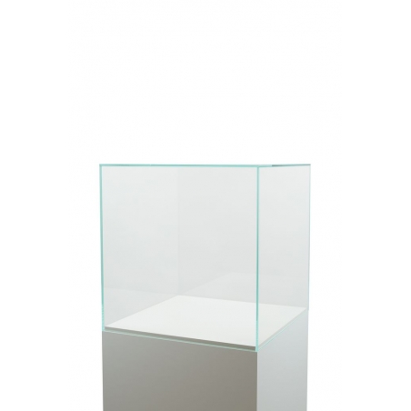 Vitrine cloche en verre
