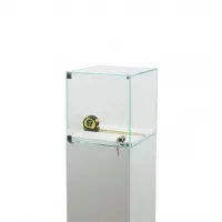 Vitrine cloche avec porte
