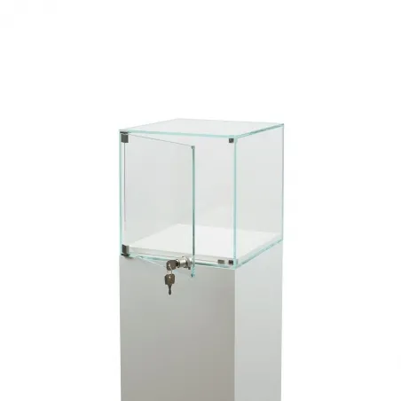 Vitrine cloche avec porte