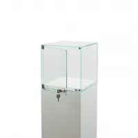 Vitrine cloche avec porte