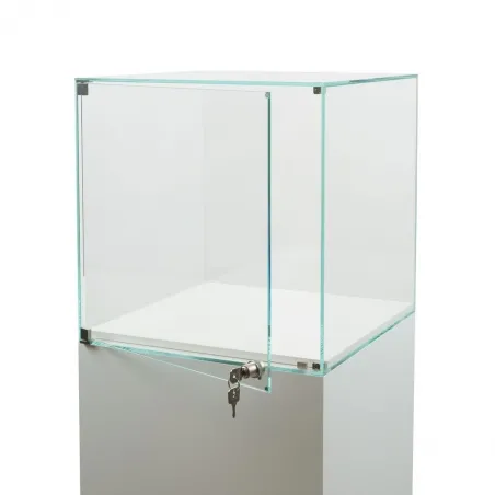 Vitrine cloche avec porte