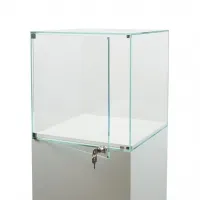Vitrine cloche avec porte