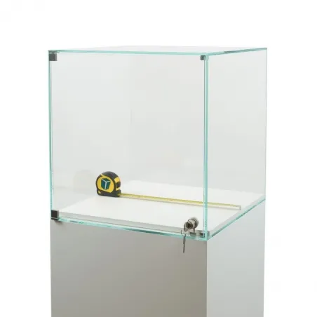 Vitrine cloche avec porte