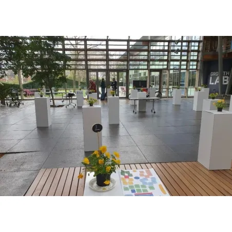 Socle d&rsquo;exposition carton