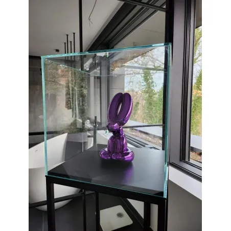 Vitrine Cloche Verre