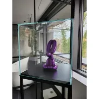 Vitrine Cloche Verre