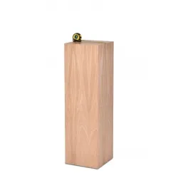 Socle chêne creux