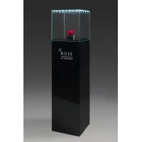 Vitrine en verre LED intégré
