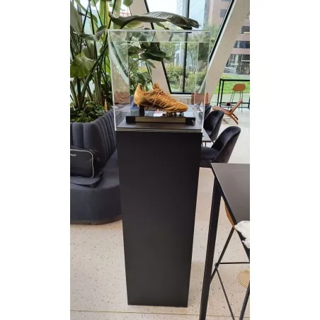 Socle noir, 30 x 30 x 100 (lxLxh) avec cloche 30 x 30 x 30 cm et 2x LED