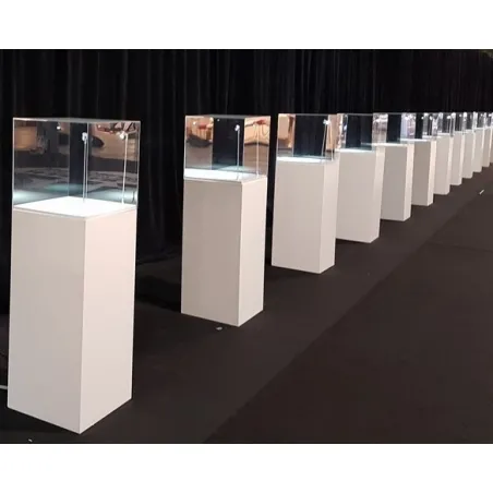 Socle blanc, 50 x 50 x 100 (lxLxh) avec cloche 50 x 50 x 50 cm et 2x LED