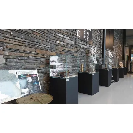 Vitrine cloche avec porte