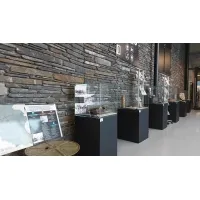 Vitrine cloche avec porte