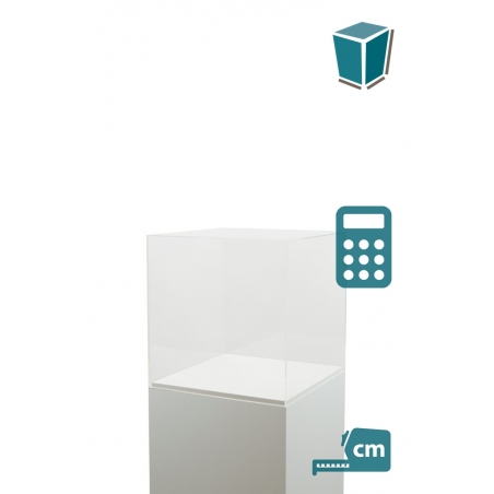 Vitrine cloche plexi