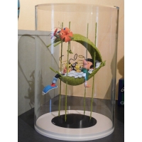 Vitrine cloche rond