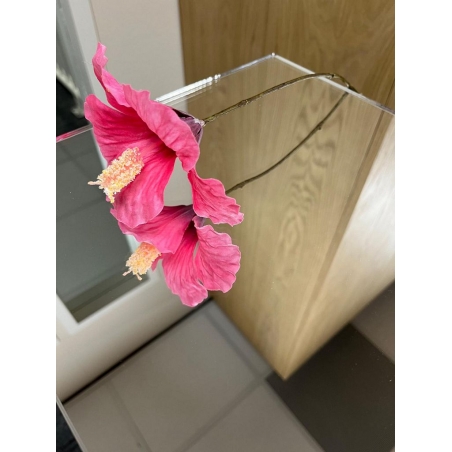 Socle miroir plexiglas