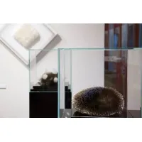 Accessoires