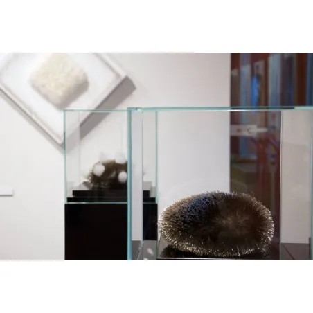 Vitrine cloche en verre