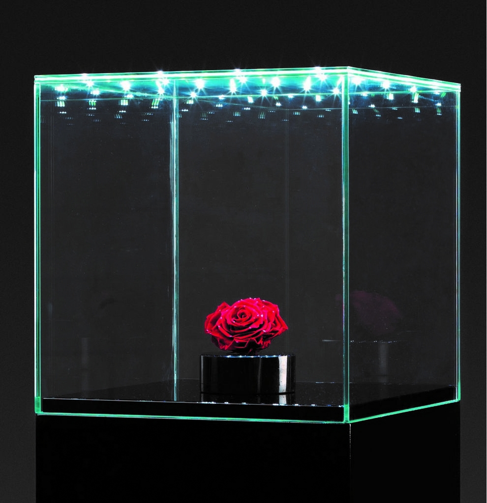 Vitrine en verre - led intégré